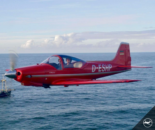 Aeromere Falco F8L