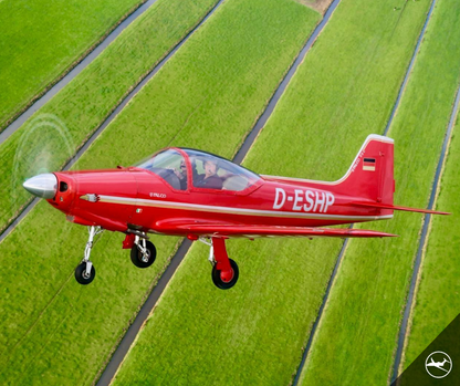 Aeromere Falco F8L